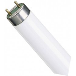 g13lum-250x250